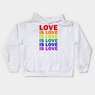 LGBT - Love is Love Kids Hoodie